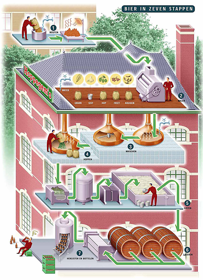 Infographic: Productie van Bier Infographic productie van bier
