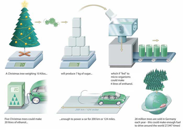 Infographic: Kerstwens voor DSM Infographic: Hoeveel energie zit er in een kerstboom
